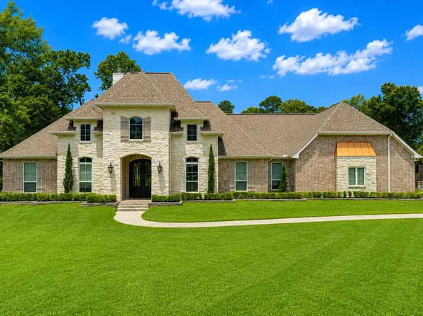 19251 Serpenteer Dr, Porter, TX 77365
