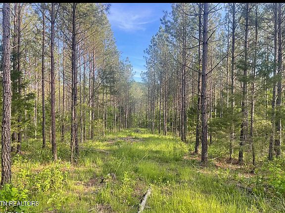 3rd image of County Road 226