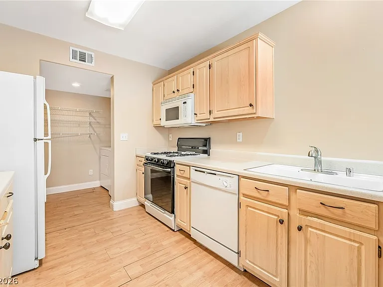 10242 Rocky Tree St — Photo 13