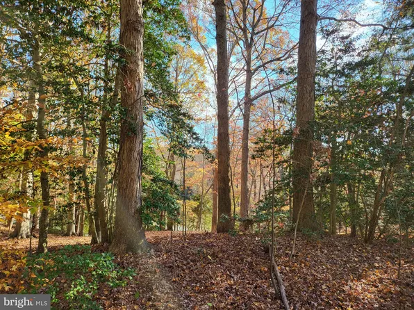 137 Knights Way, Montross, VA 22520