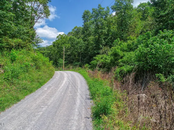 Snake Hollow Rd, Sneedville, TN 37869