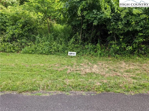 Lot 1 Briarwood Lane, Sparta, NC 28675