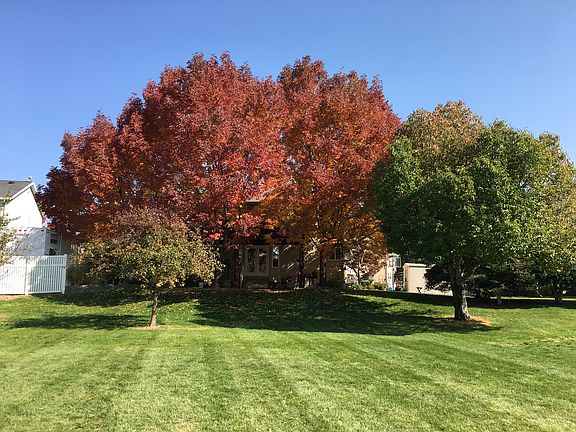 Rear view from city park