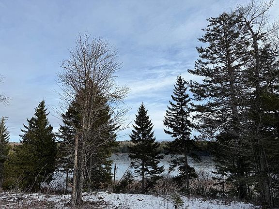 2nd image of Lot 7BH Steam Mill Road