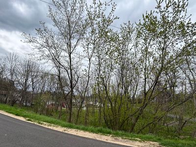 Bridge St, Galena, IL, 61036