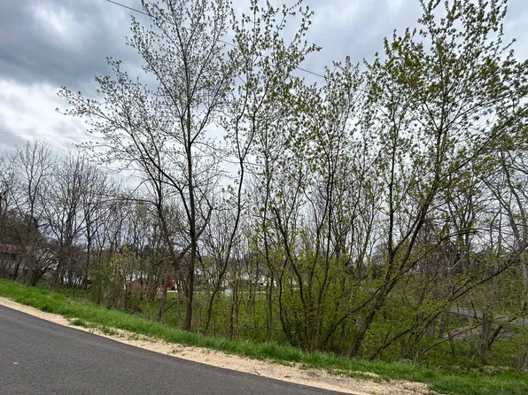 Bridge St, Galena, IL 61036