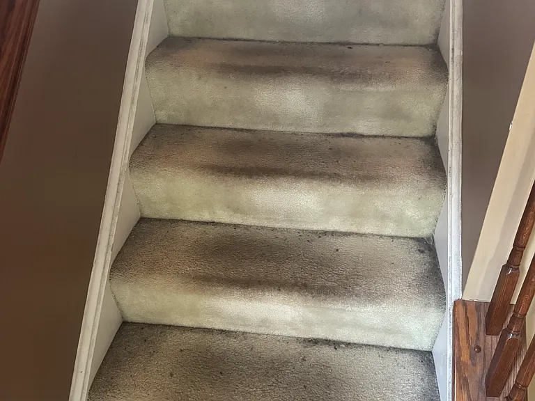 2420 Rippling Brook Rd #1 — Photo 32