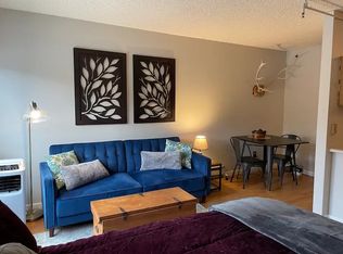 110 S Park Ave APT 102, Breckenridge, CO 80424