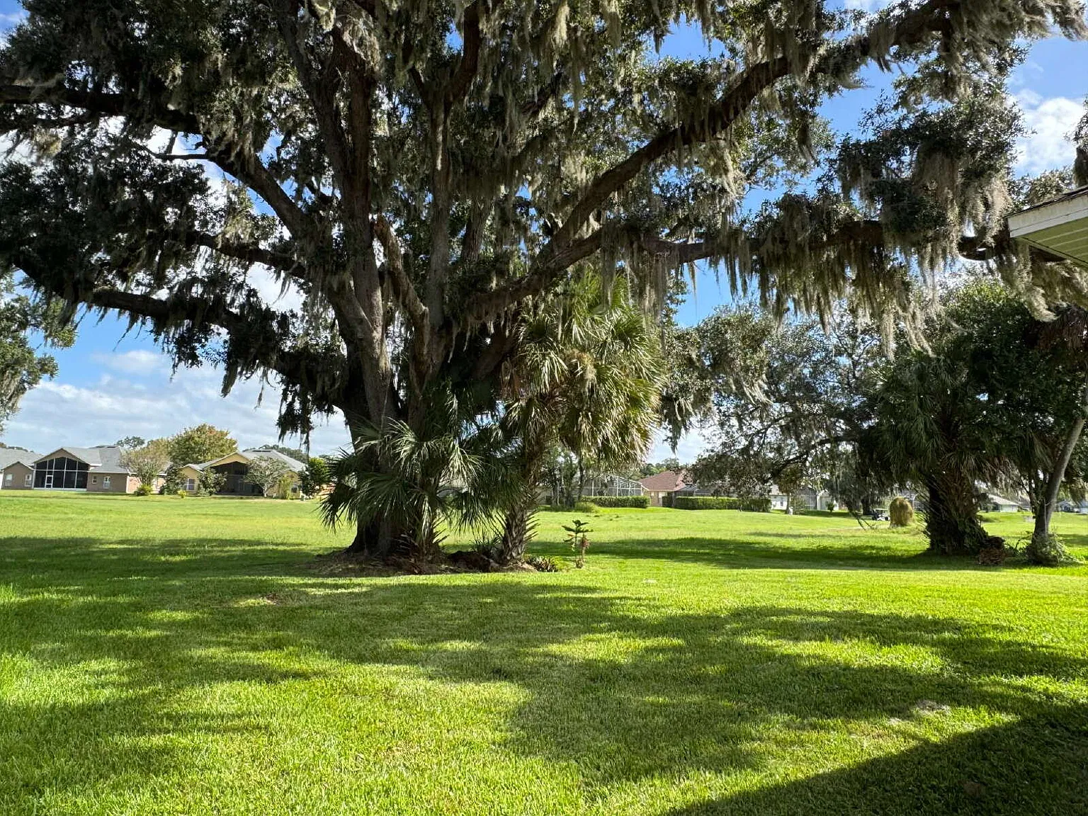 3 bed, 2.0 bath, 1839 sqft, $1,980 — Photo 4