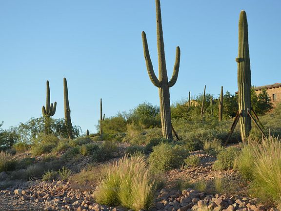 4th image of 9208 E Superstition Mountain Dr