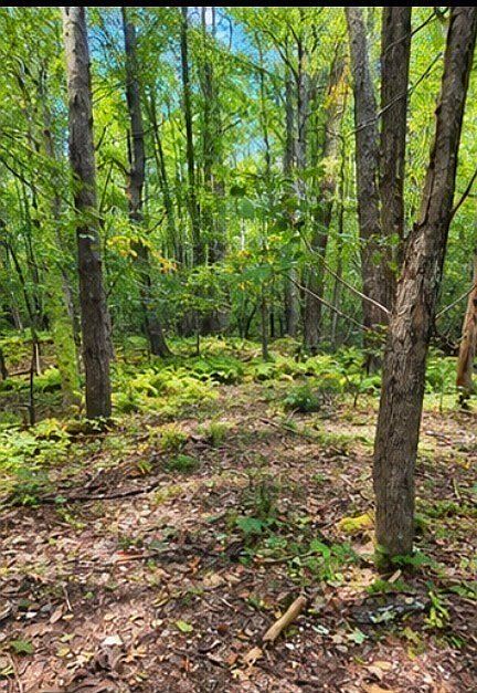 1st image of LOT-10A Bush Hill Rd