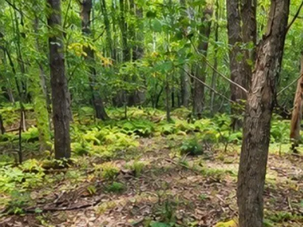 LOT 10-10A Bush Hill Rd, Ashburnham, MA 01430