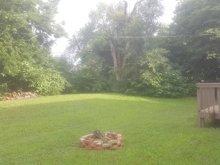 back yard