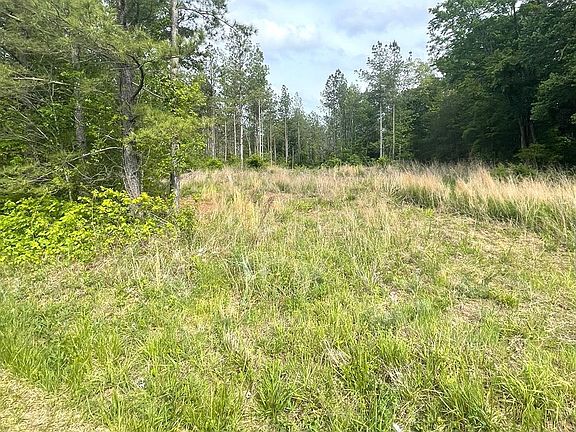 3rd image of 0 Three Creeks Rd Lot 2D