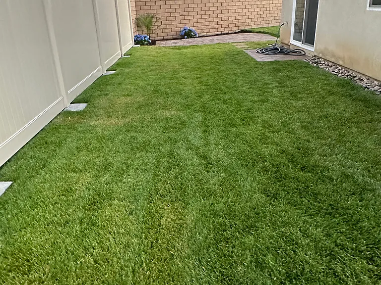 36594 Camino Springs Ave — Photo 77