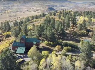 450 S Point Rd, Placerville, CO 81430