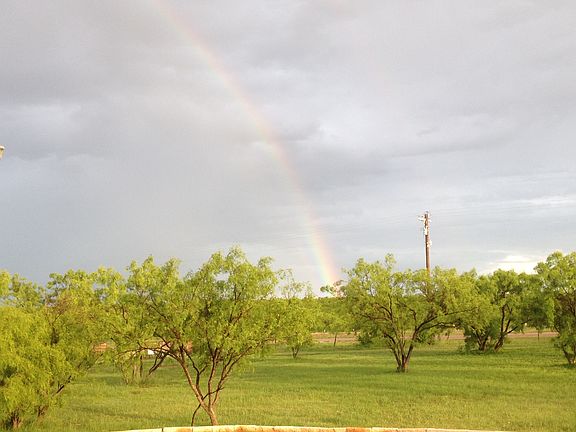 View from the front patio