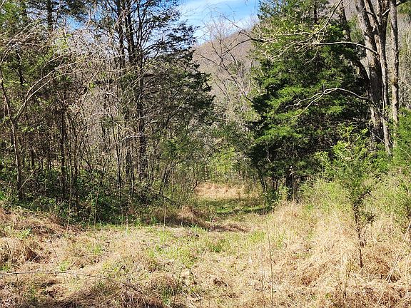 3rd image of 0 Wilson Hollow Rd