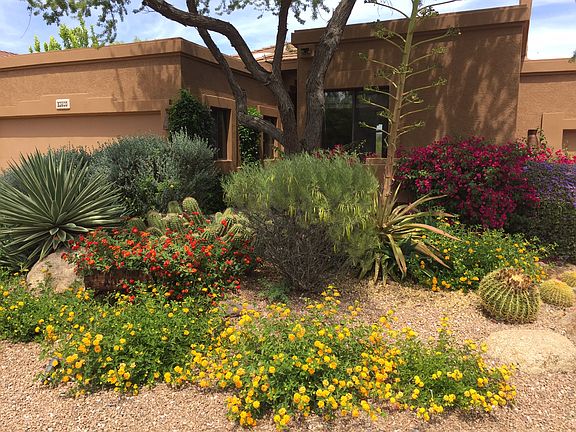 View from Amarado Circle