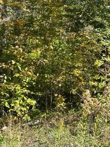 LOT 52 Cheyenne Dr, Jamestown, TN, 38556