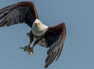 11050 W Wadsworth Rd, Beach Park, IL 60099