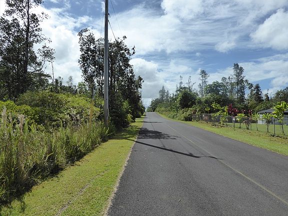 2nd image of Anthurium Dr Lot 63