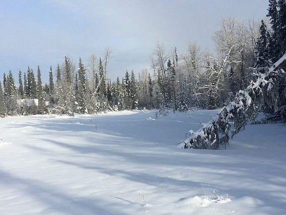 North viewEast property line