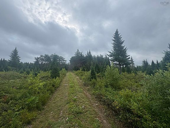 4th image of LOT Hardwood Lake Rd #A