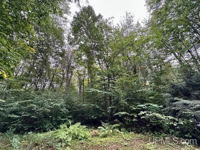 20442 Pinewood Rd, Newberry, MI, 49868