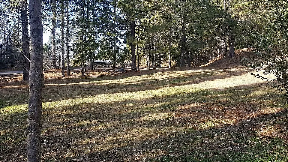 16996 Old Downieville Hwy photo 1