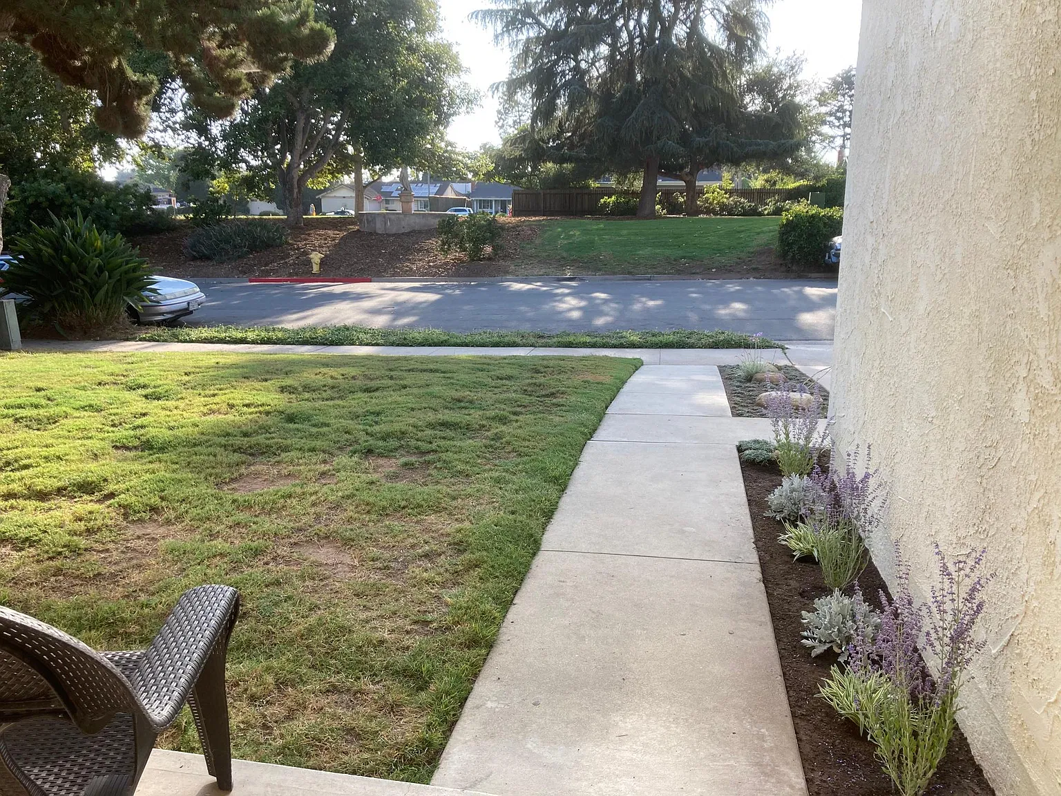 1486 Eucalyptus St — Photo 3