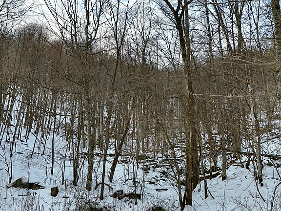 3rd image of LOT D2 Gobblers Ln