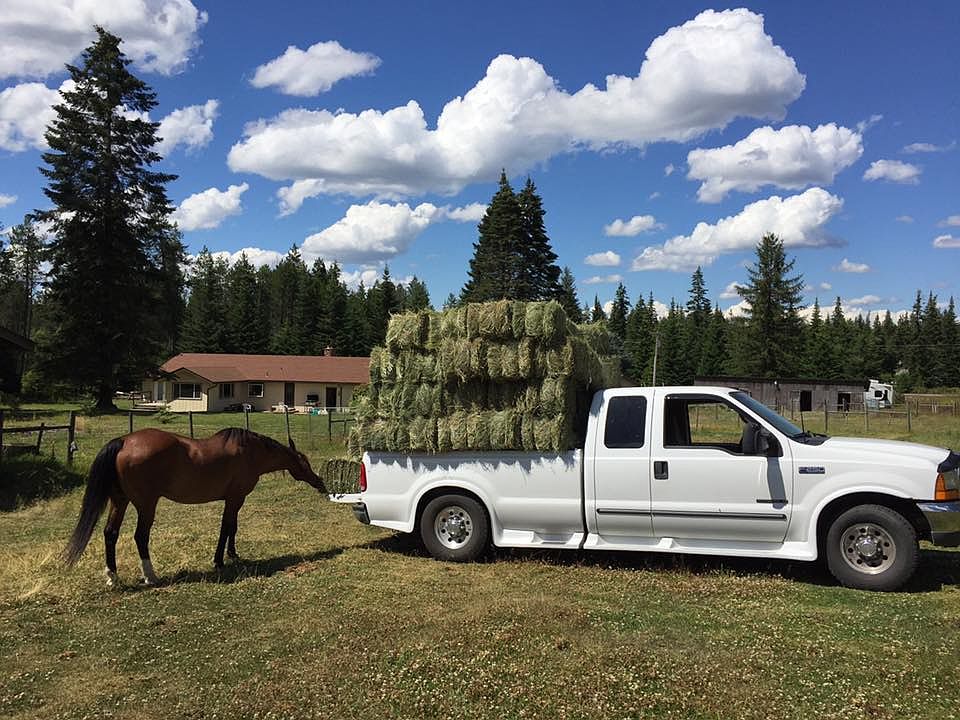 Back of home from main barn