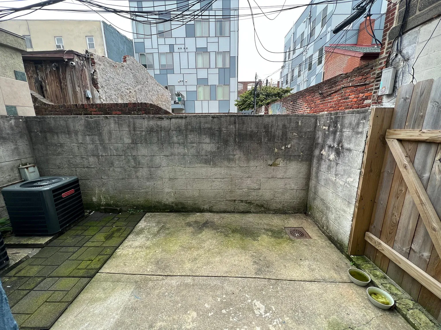 1 bed, 800 sqft, $1,550 — Photo 4
