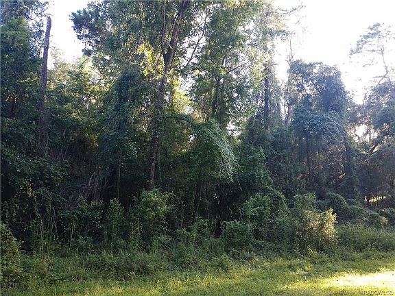 5th image of 7290 E Azalea Dr