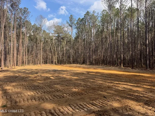 Robinson Rd Lot 1, Canton, MS 39046