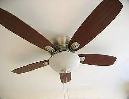 Rented by E and G Realty Group | media 22