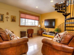 141 Riley Road, Silverthorne, CO 80498