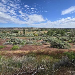 1295 River Rd, Buhl, ID, 83316