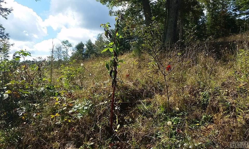 2nd image of 378 Pine Creek Road