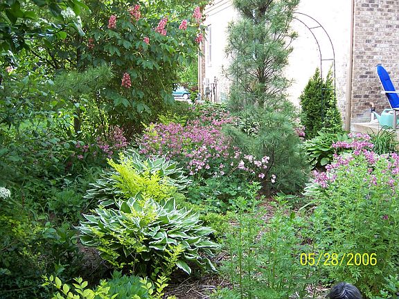 Side Yard, May, 2006