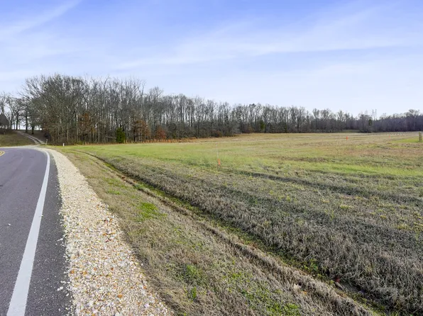 0 Guthrie Rd, Paris, TN 38242