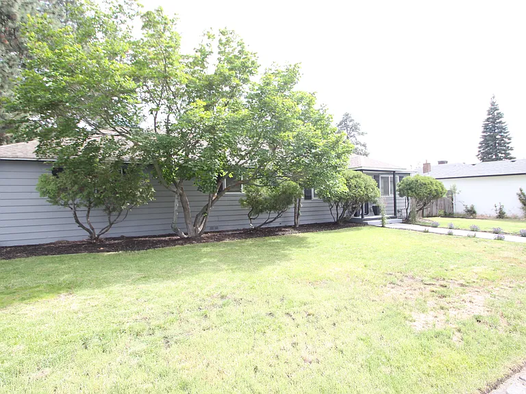 Front Yard