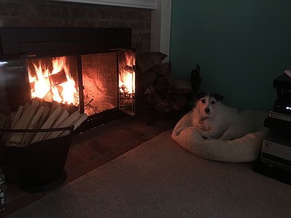 Warmth by the fireplace 