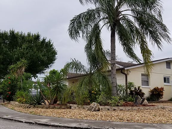 Lush tropical plants