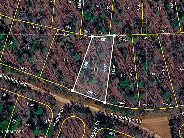 315 Bainbridge Rd, Fairfield Glade, TN 38558