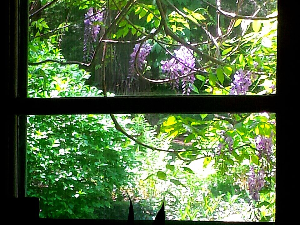 French Doors view