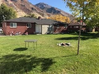 Back yard