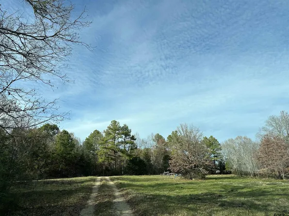 19290 County Road 2153, Troup, TX 75789