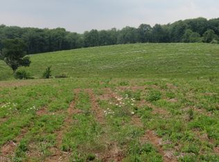 Leopard Rd NW, Malvern, OH 44644